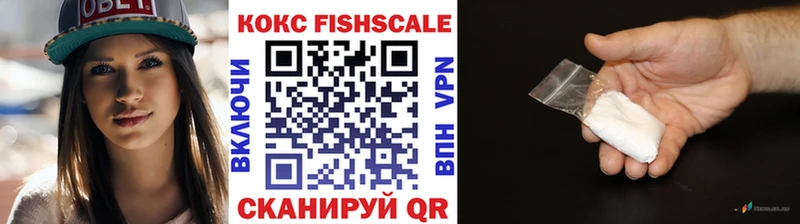 COCAIN Fish Scale  Купить где  Невьянск 