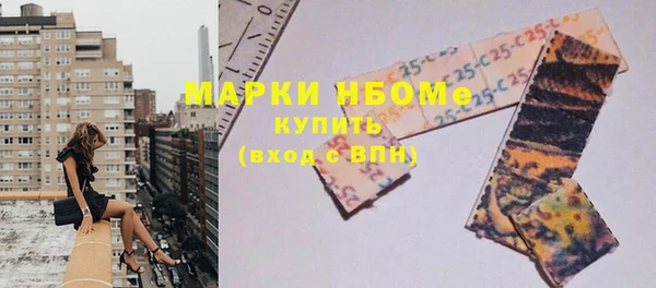 индика Дмитров
