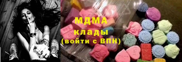 индика Дмитров