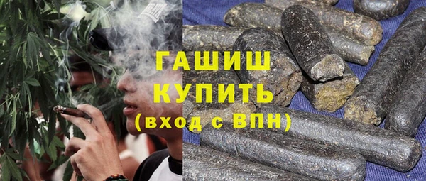 индика Дмитров