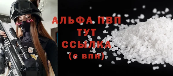 индика Дмитров