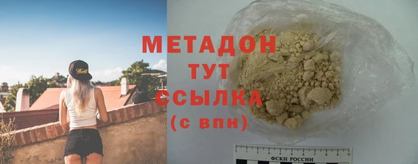 индика Дмитров