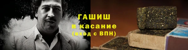 индика Дмитров