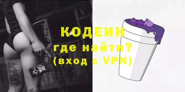 индика Дмитров