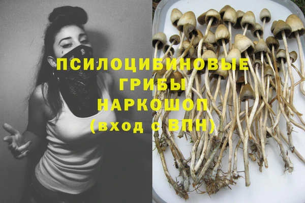 бошки Елизово
