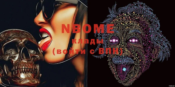 индика Дмитров
