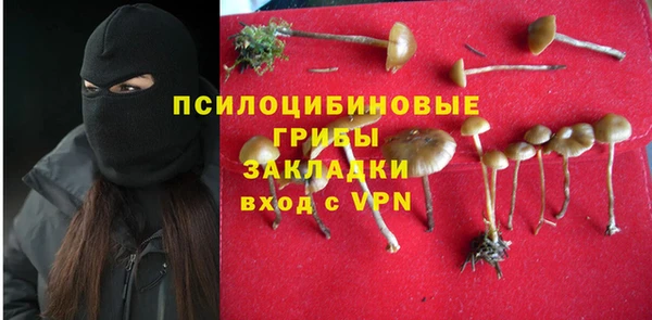 герыч Дмитровск