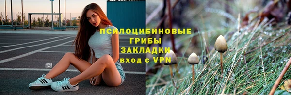 индика Дмитров
