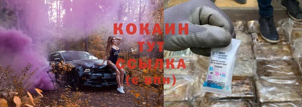 индика Дмитров