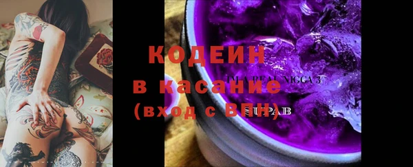 индика Дмитров