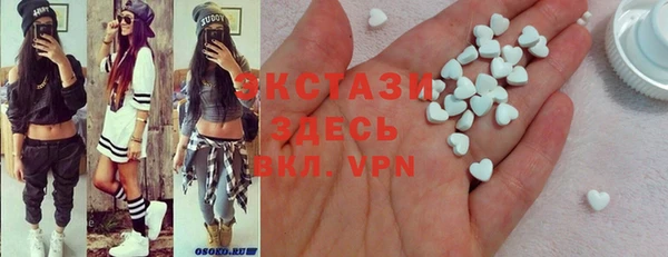 индика Дмитров