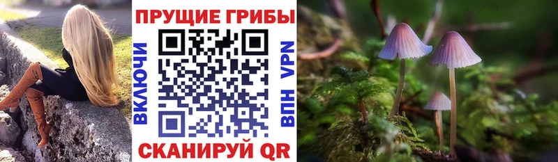 Галлюциногенные грибы MAGIC MUSHROOMS  Купить закладки  Невьянск 